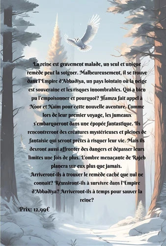 Noor et Naïm - Tome 2 : Et le diadème de rosée
