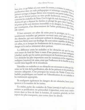 Les Maladies de l'Âme – Symptômes, causes et remèdes – Anas Ahmad Karzûn